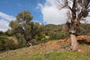 Klima Kreta, Klima Exklusives Villen-Ensemble Höhlenhaus (Projekt) mit atemberaubendem Panoramablick Haus kaufen